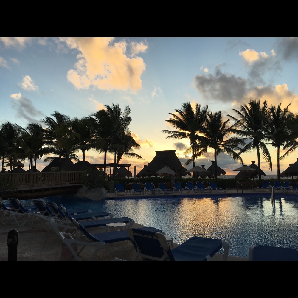 Meet your Posher, Alicia